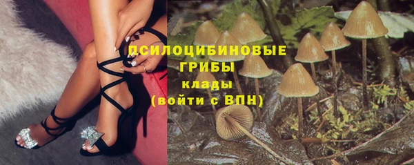 дживик Лихославль