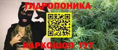 мдпв Гусь-Хрустальный