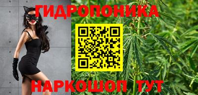 прущие крисы Гусев