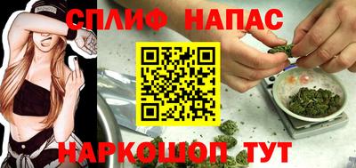 мдпв Гусь-Хрустальный