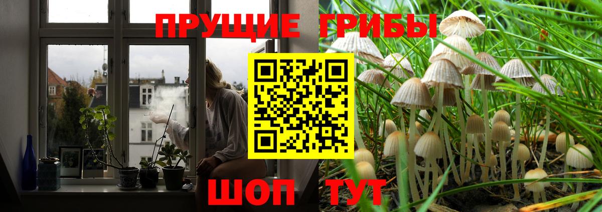 Мефедрон кристаллы  А ПВП СОЛЬ   Канабис  Кемерово  Кокаин  Вход с VPN  МАРИХУАНА  Гашиш 